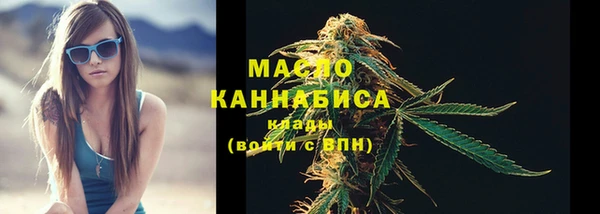 mdpv Бородино