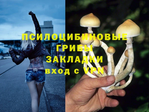 альфа пвп Дмитров