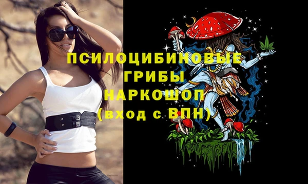 PSILOCYBIN Володарск