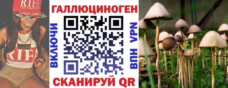 хочу наркоту  Духовщина  Псилоцибиновые грибы Cubensis 